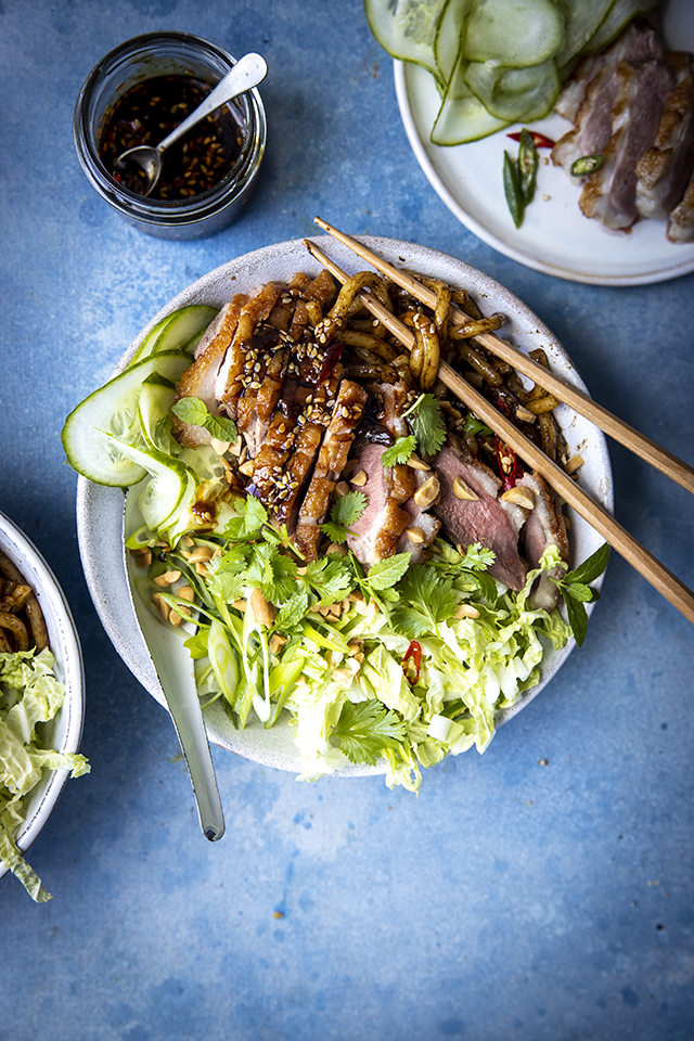 Duck Noodle Cucumber Salad Bowl | DonalSkehan.com