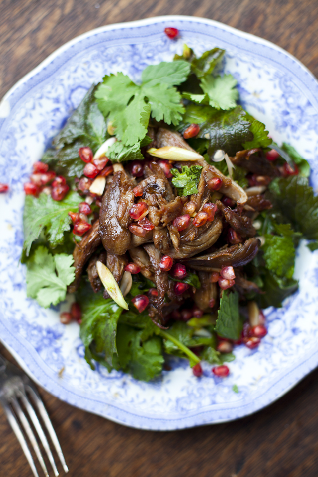 Duck Pomegranate and Mint Salad | DonalSkehan.com, Salads don't have to be boring and this duck salad proves it!